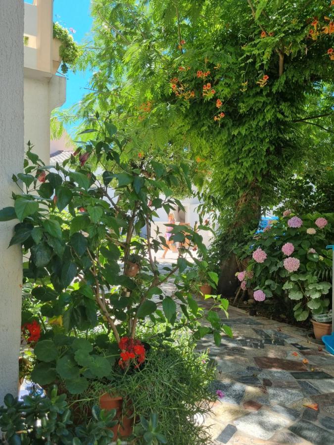 Ana & Marko Rooms Novalja Exterior photo